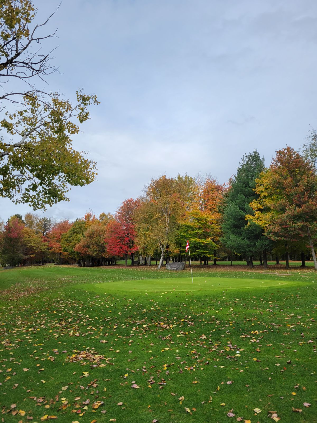 Looking back at hole 6 fairway