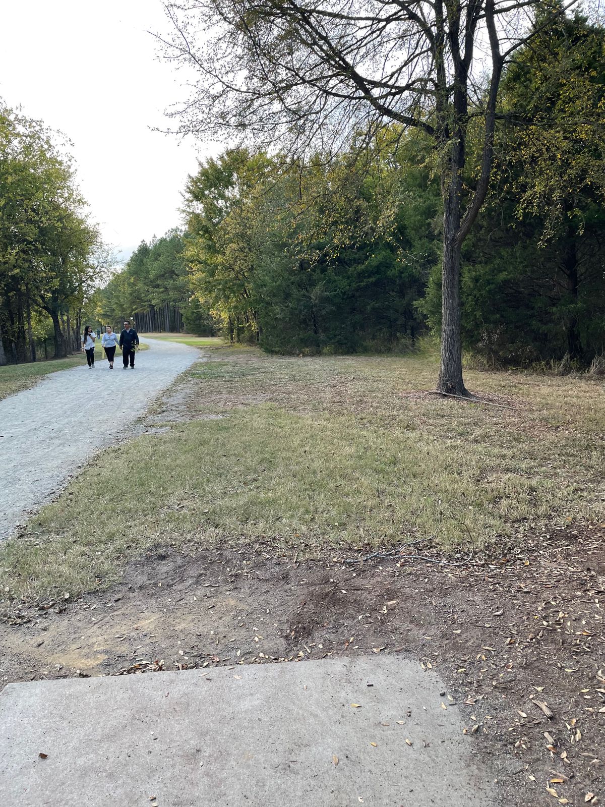 This is a busy public park on a Sunday, go early on a weekday.