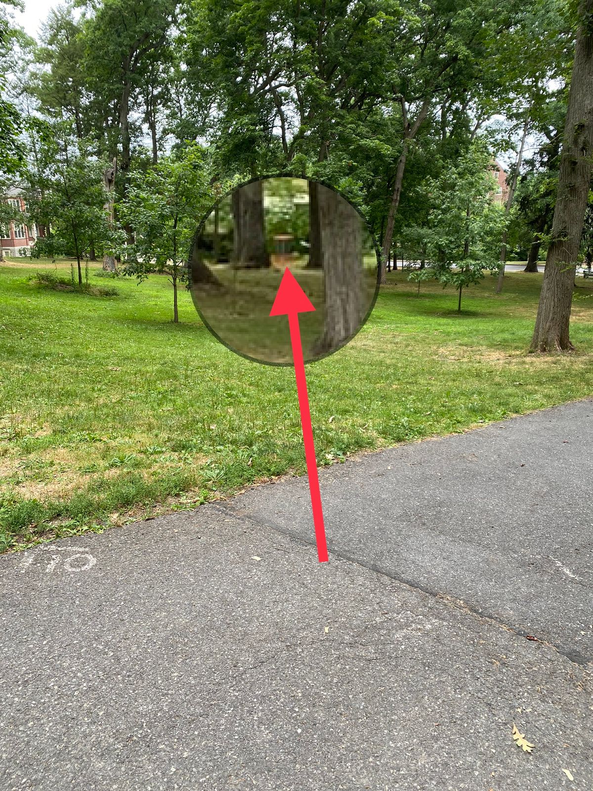 Main layout - Hole 10…aka the second hole 6