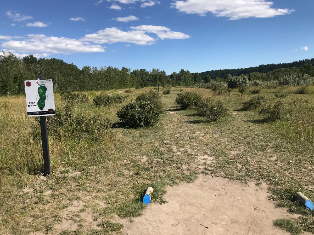 Hole 7 tee box