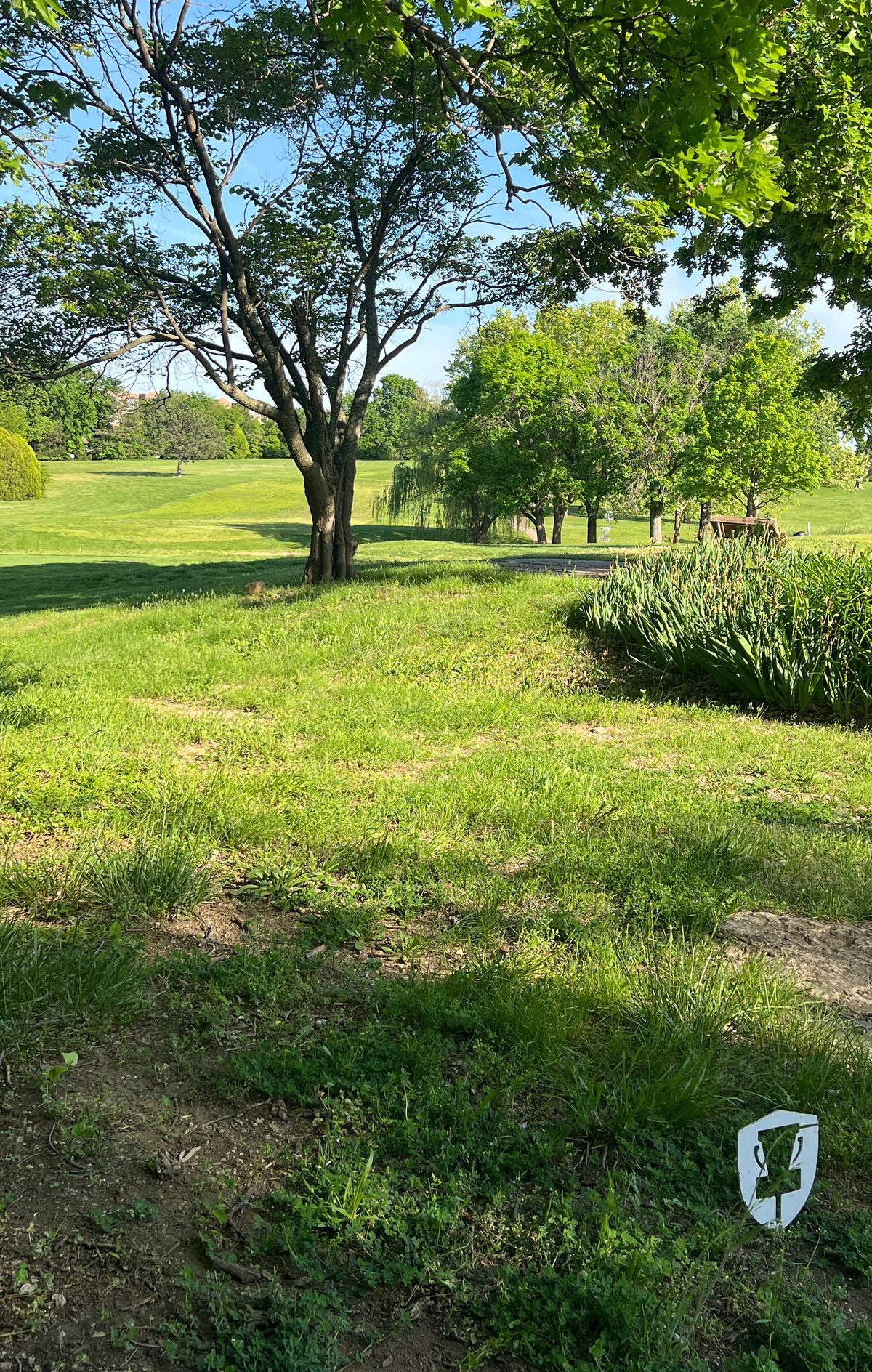 11 tee