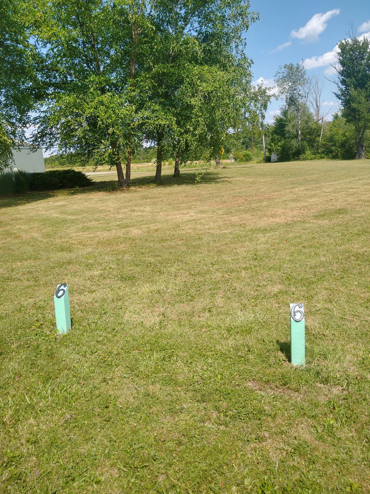 Tee 6