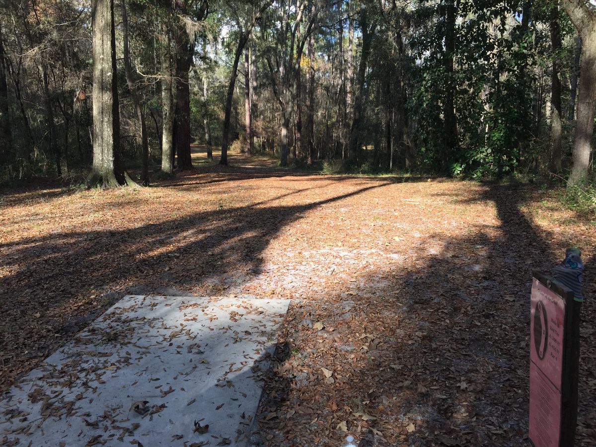 Hole 8