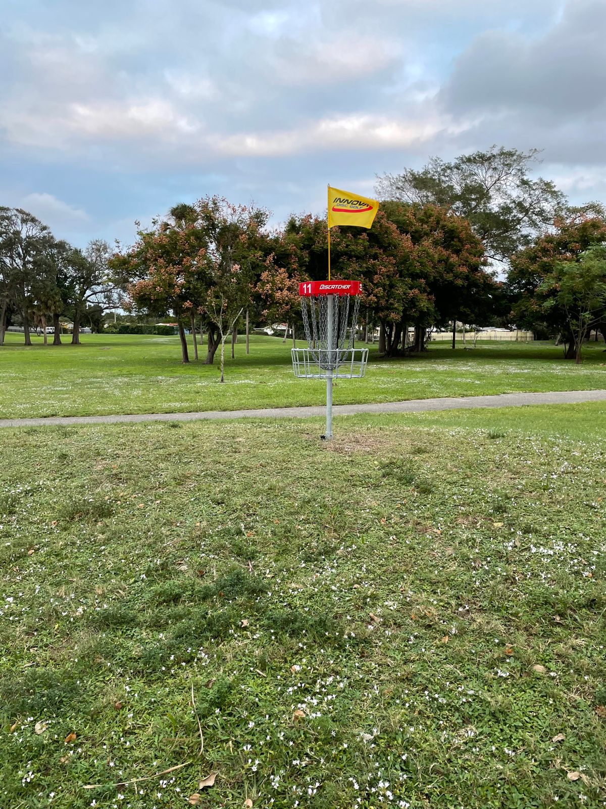 Hole 11 Basket