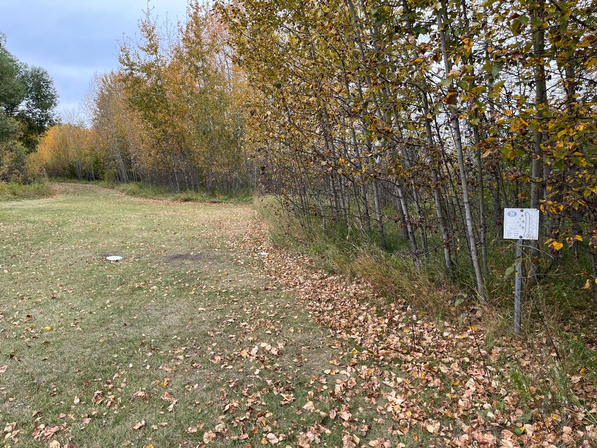 Hole 8