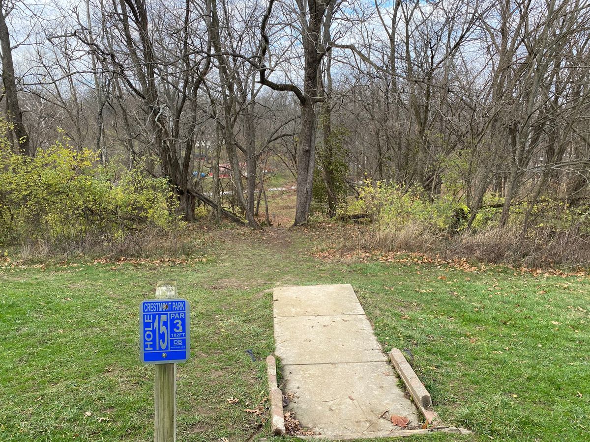 A nearly impossible gap on 15 but it drops off beautifully to the basket. Thread the needle.