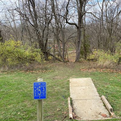 A nearly impossible gap on 15 but it drops off beautifully to the basket. Thread the needle.
