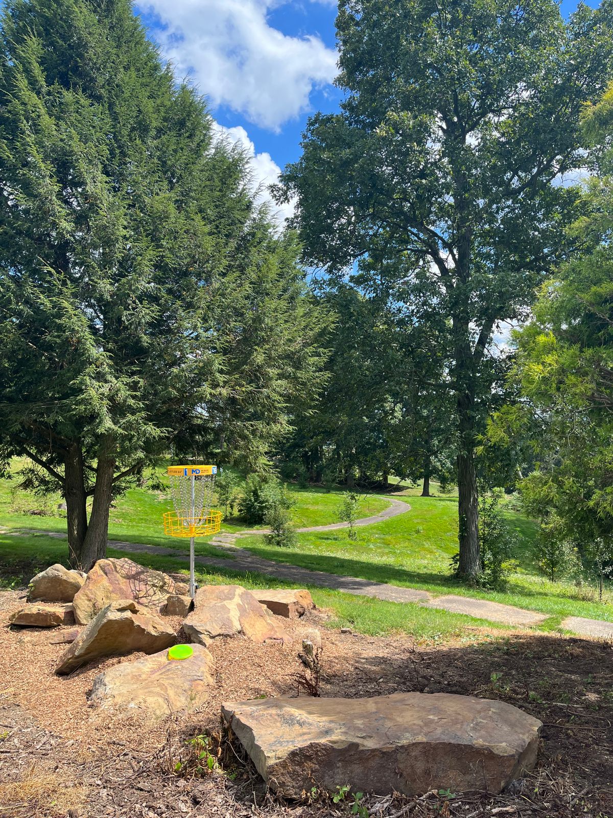 Hole 17s basket nestled behind a mature guardian pine tree and on some beautiful rocks