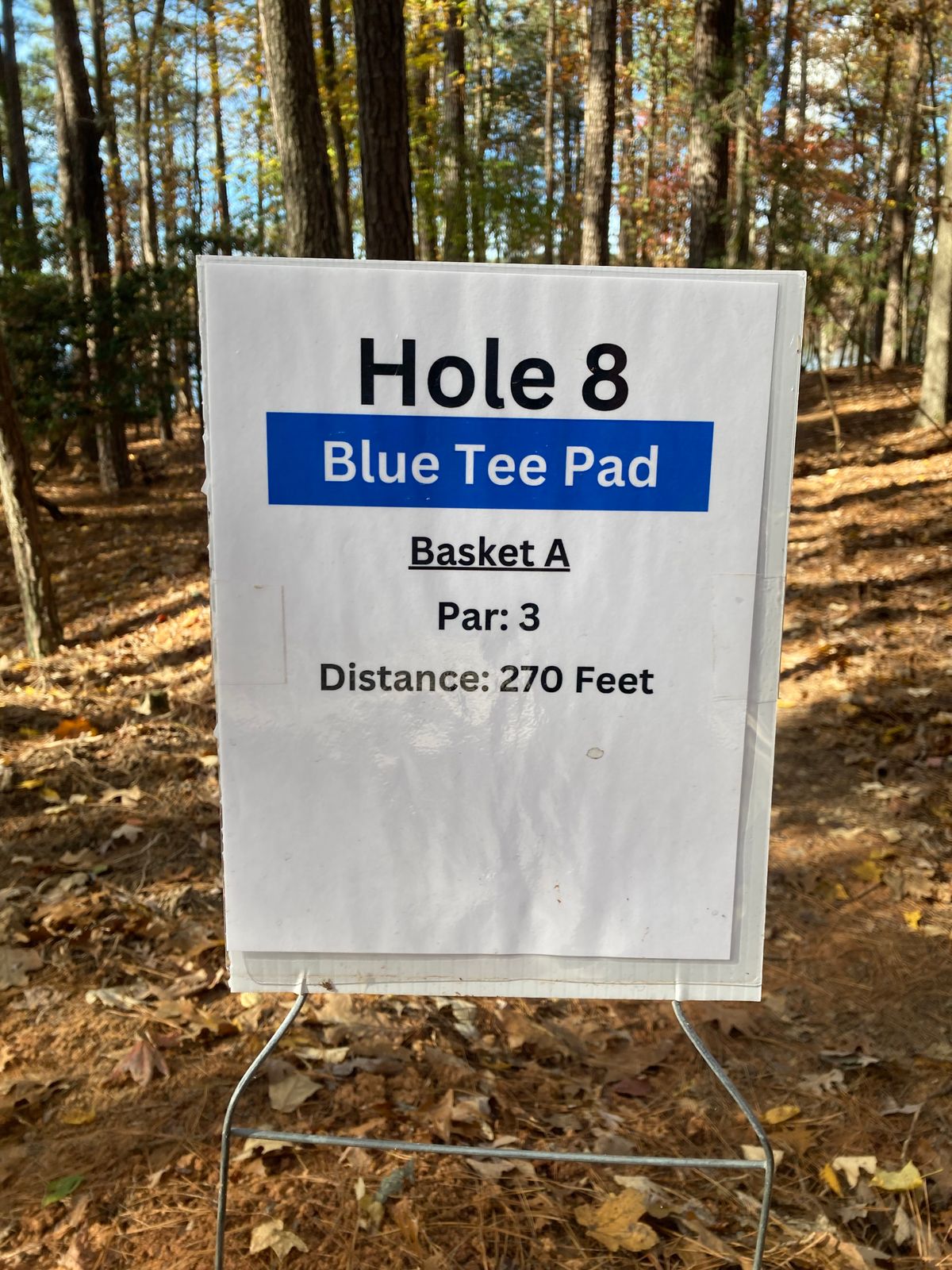 Hole 8 Blue Tee Sign