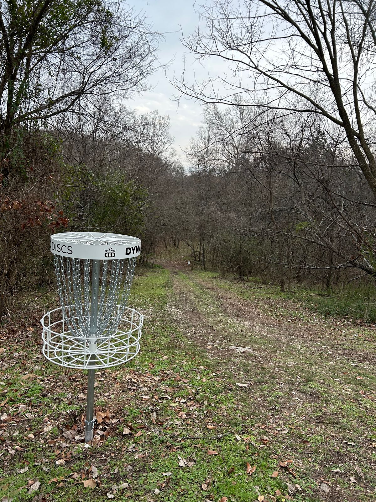 Hole 11 looking back at the fairway