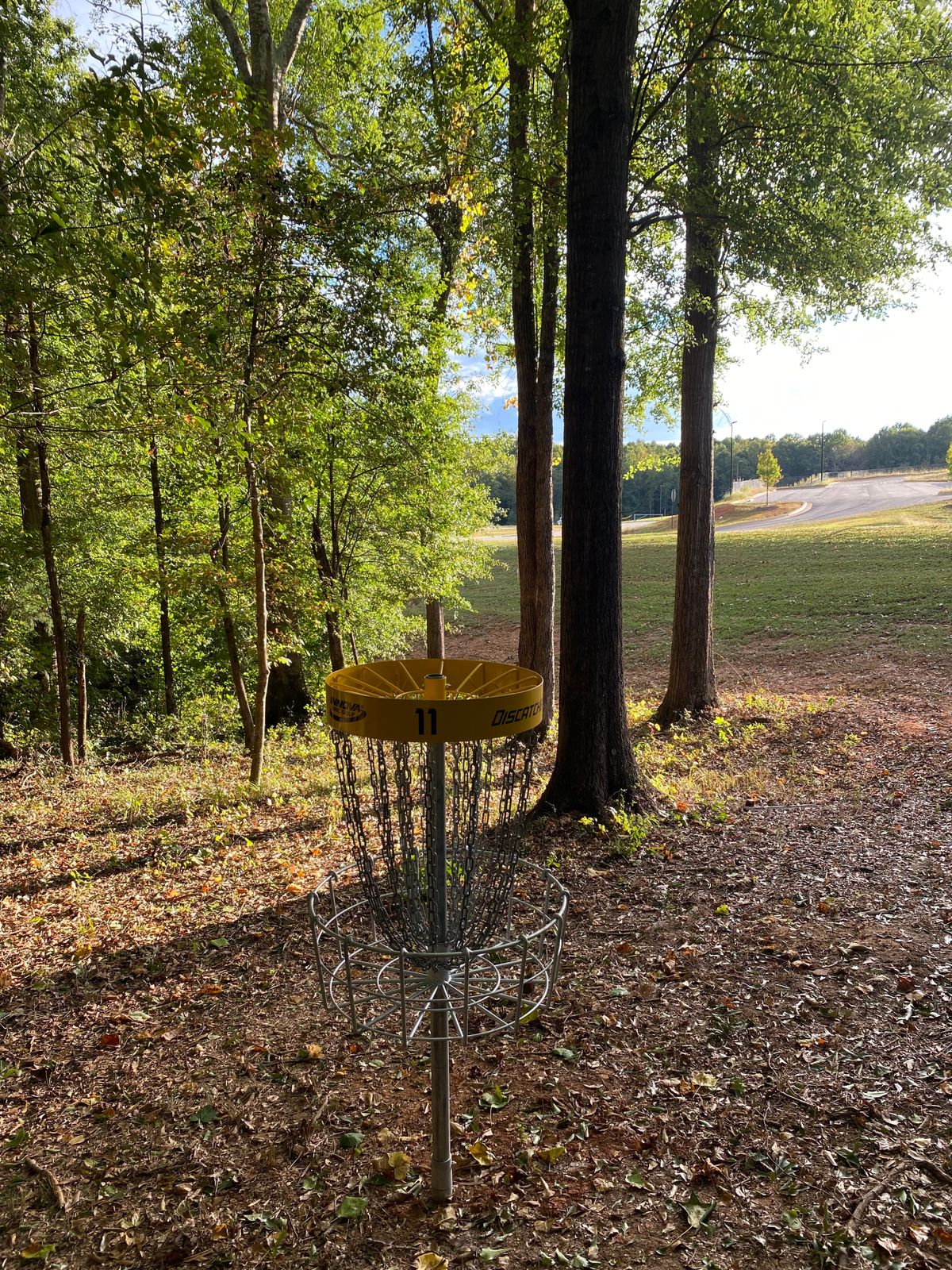Hole 11 Basket