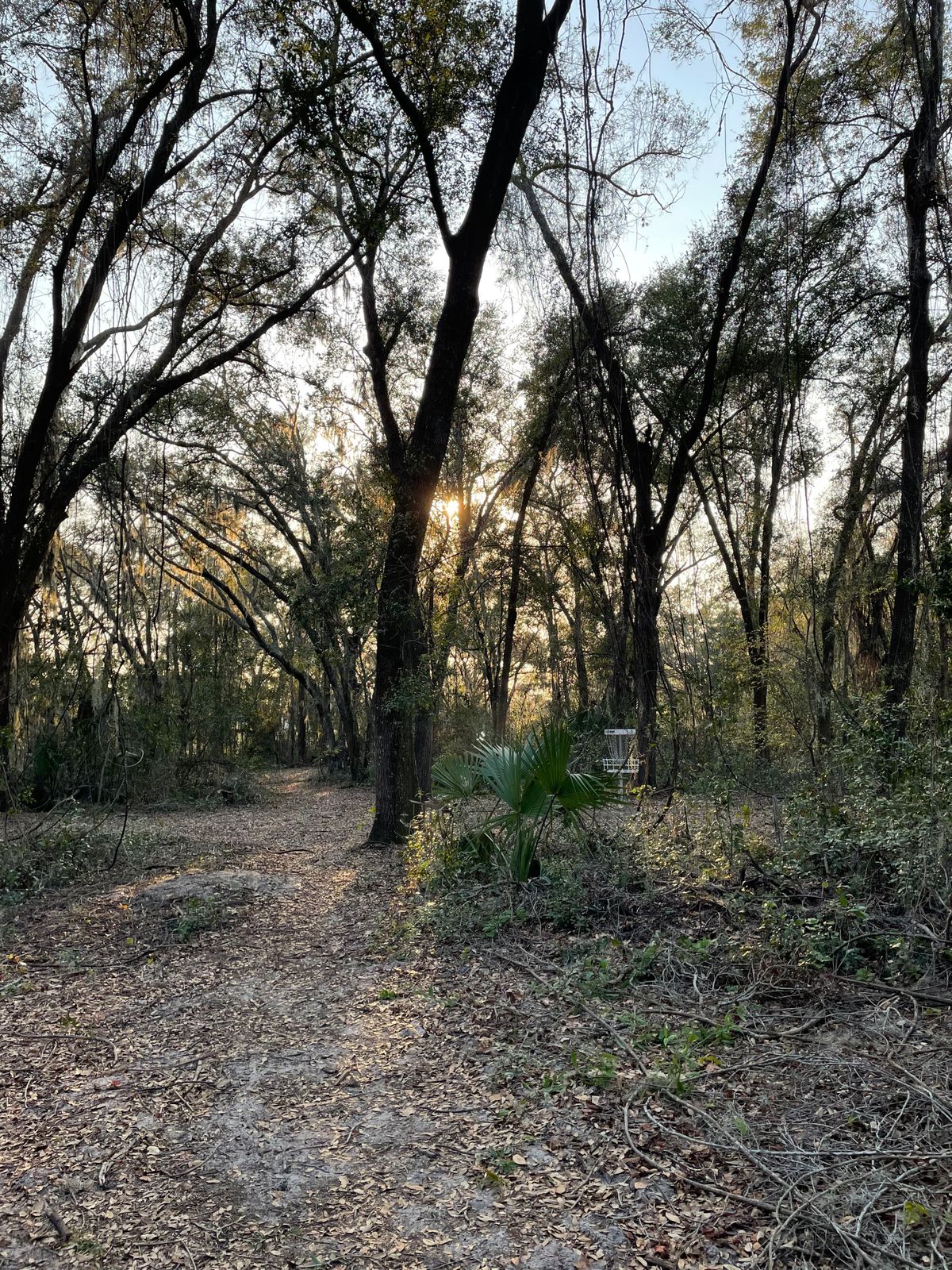 Hole 8