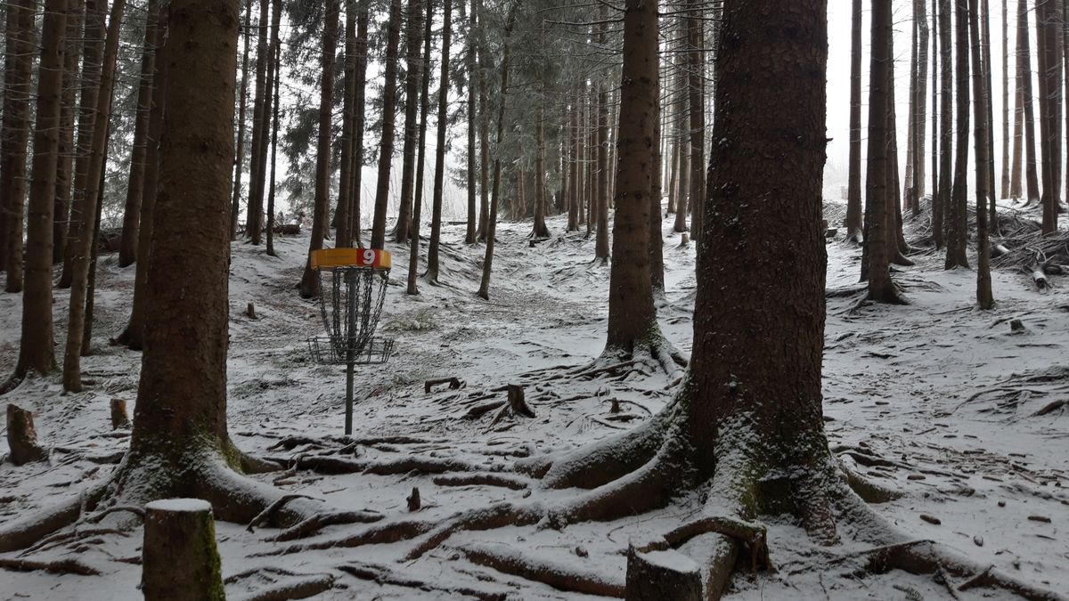1st dusting of snow. 25.11.21