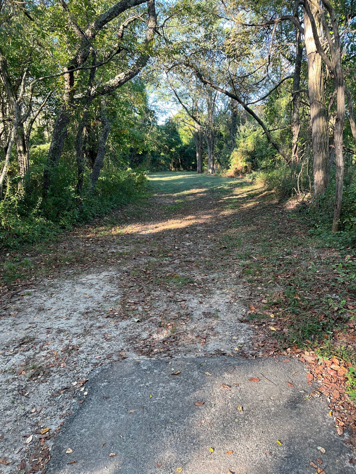 Hole 5 tee