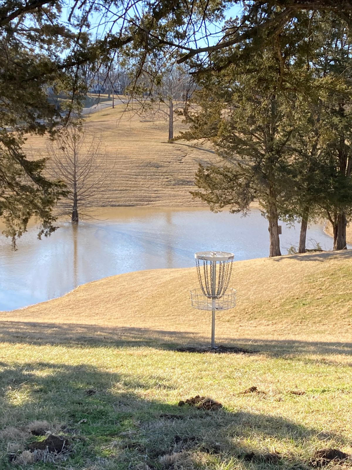 Looking back towards hole 7. A standout hole in my opinion.