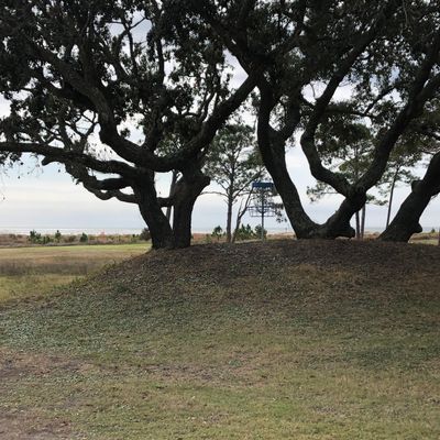 Cool placement, some up high, some in the sand.