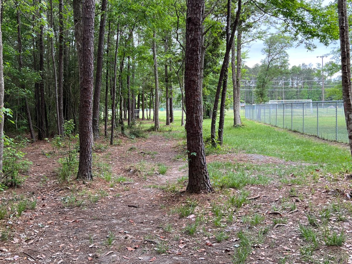 Hole 15 Red