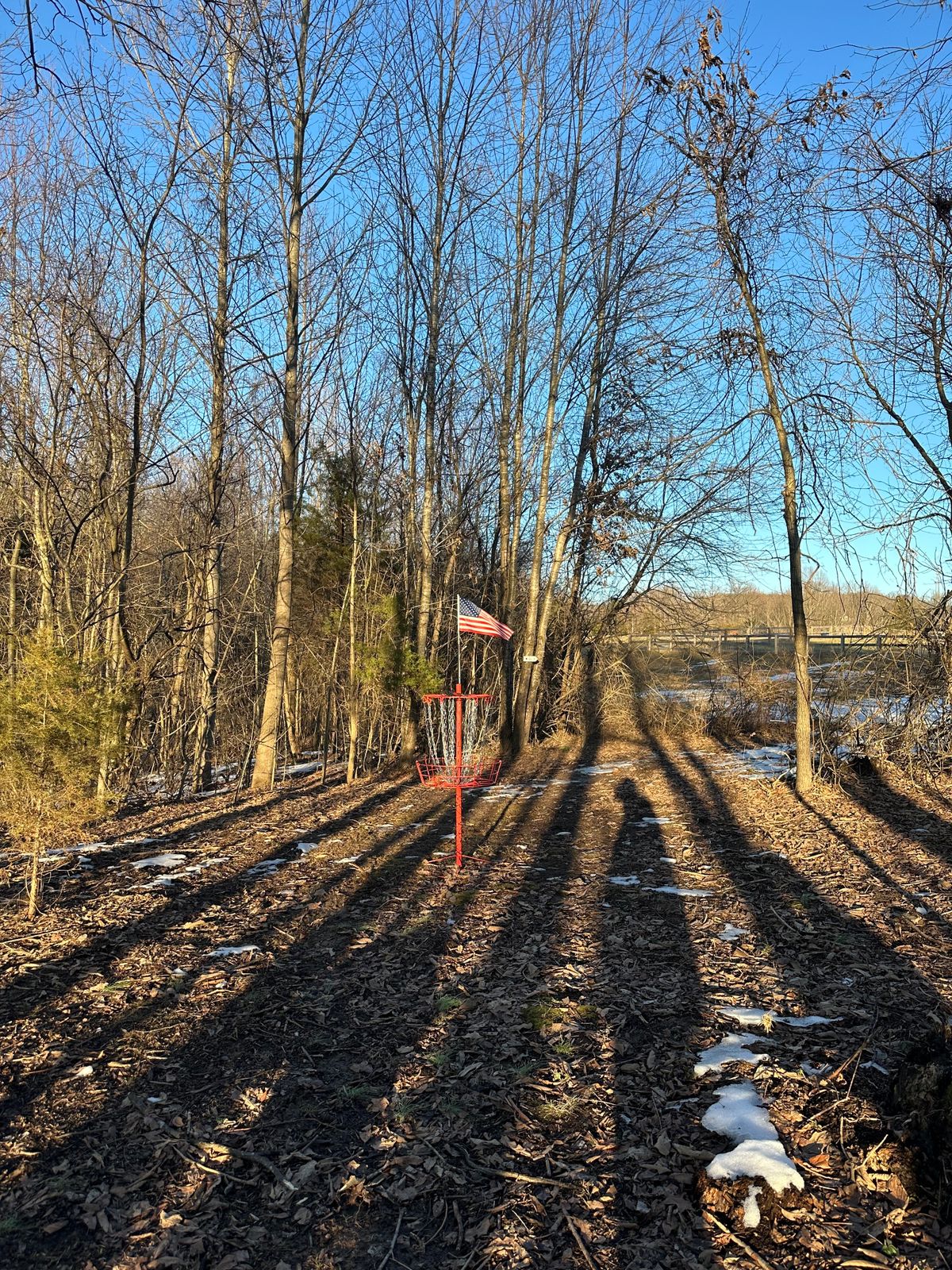 Hole 5 basket
