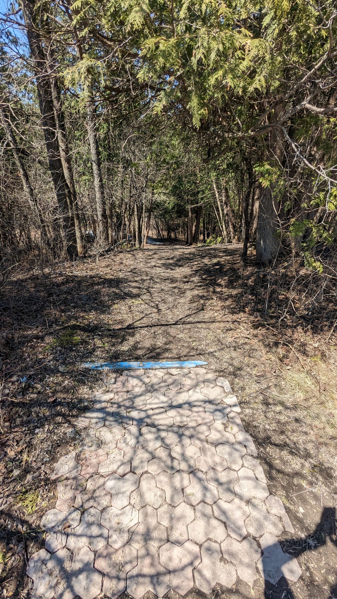 Hole 4, April 2023