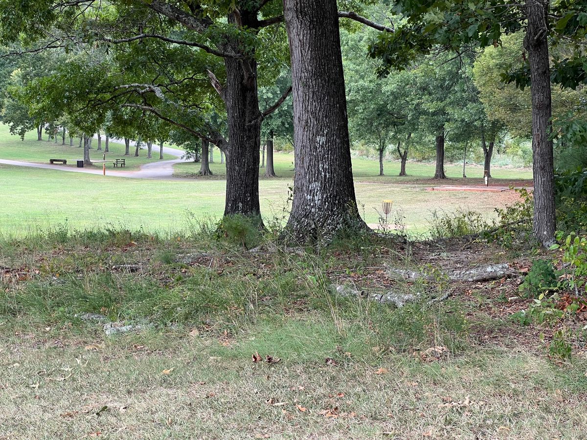 Dogleg left. I got lucky with a forearm through the woods.