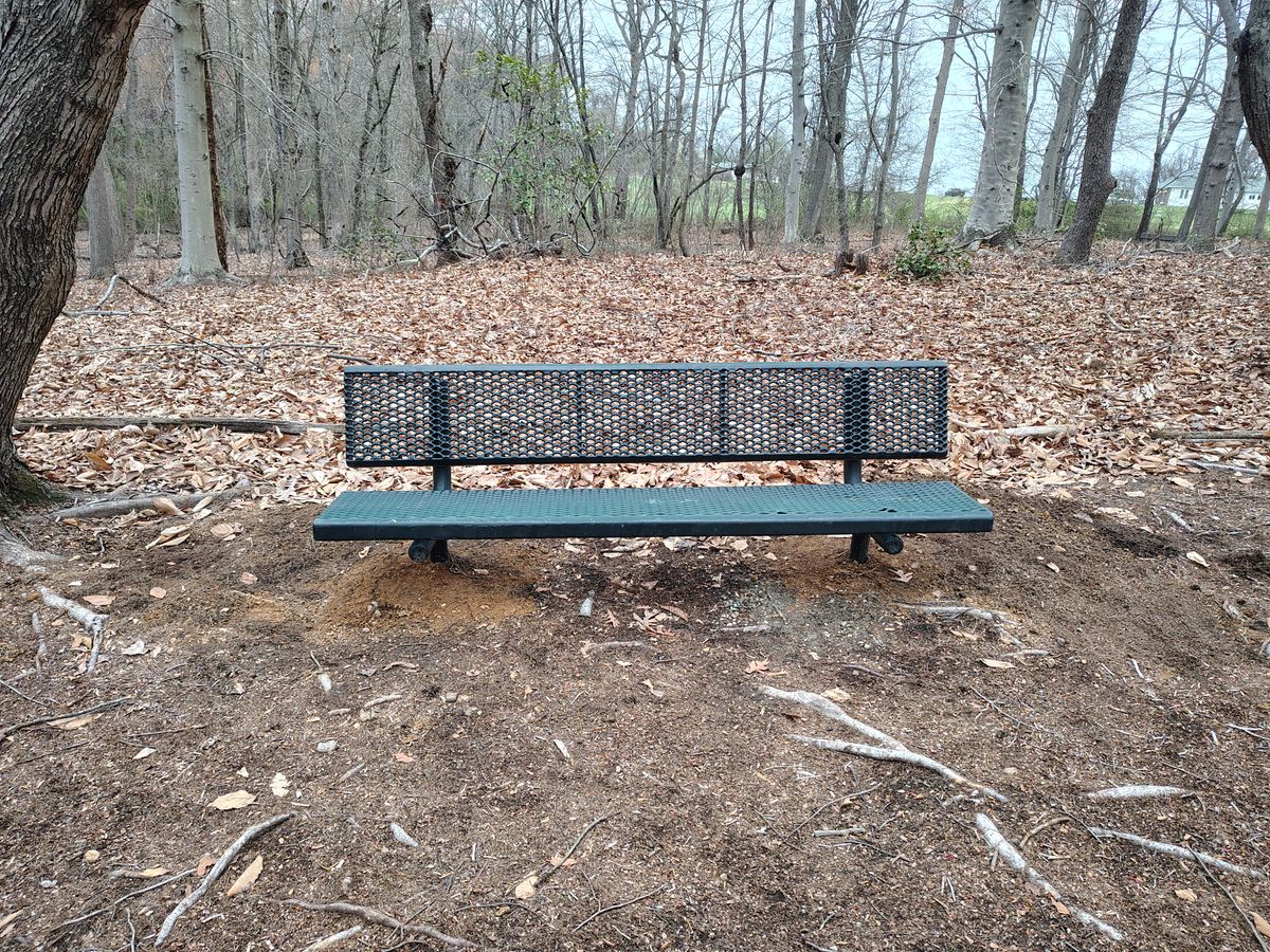 Hole 6 Bench