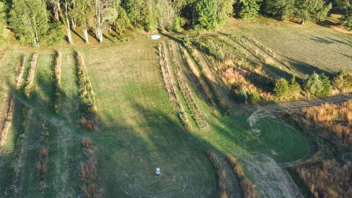 Hole 9