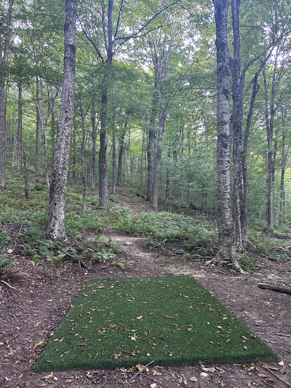 Hole 9 tee
