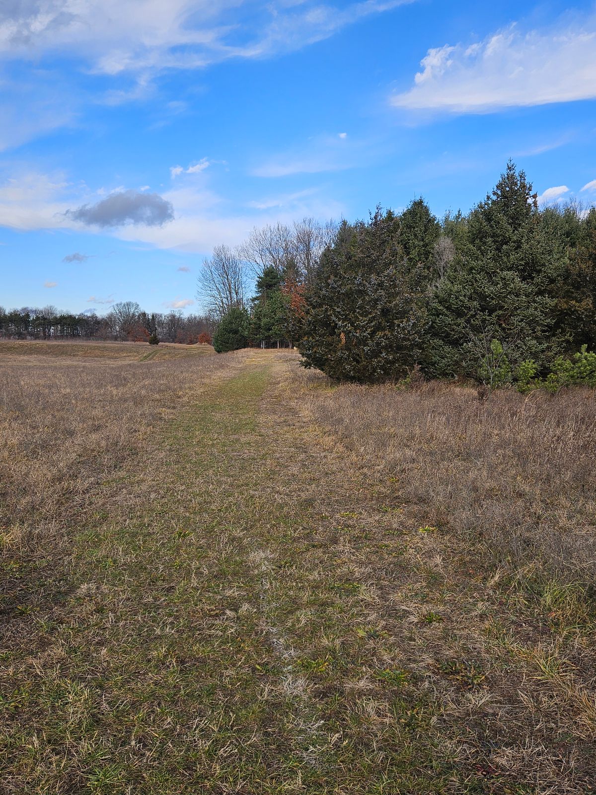 Hole 6, straight along ridge, tee is at intersection of trail from basket 5