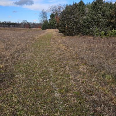 Hole 6, straight along ridge, tee is at intersection of trail from basket 5