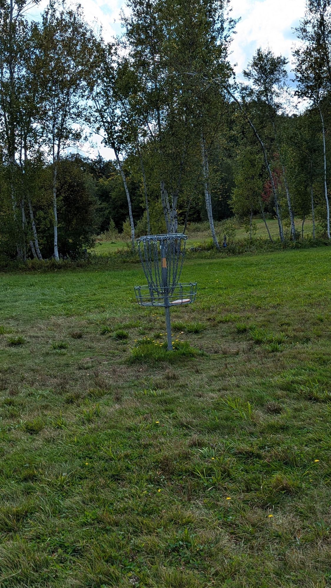 Hole 9, 15' left of basket