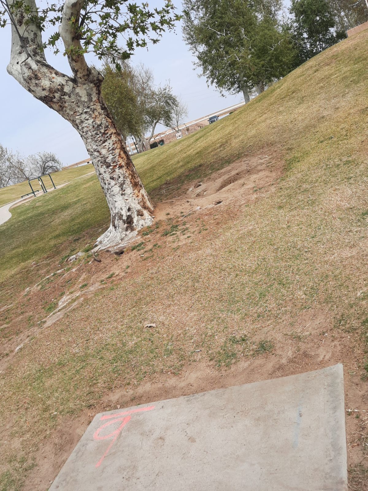 Hole 9
