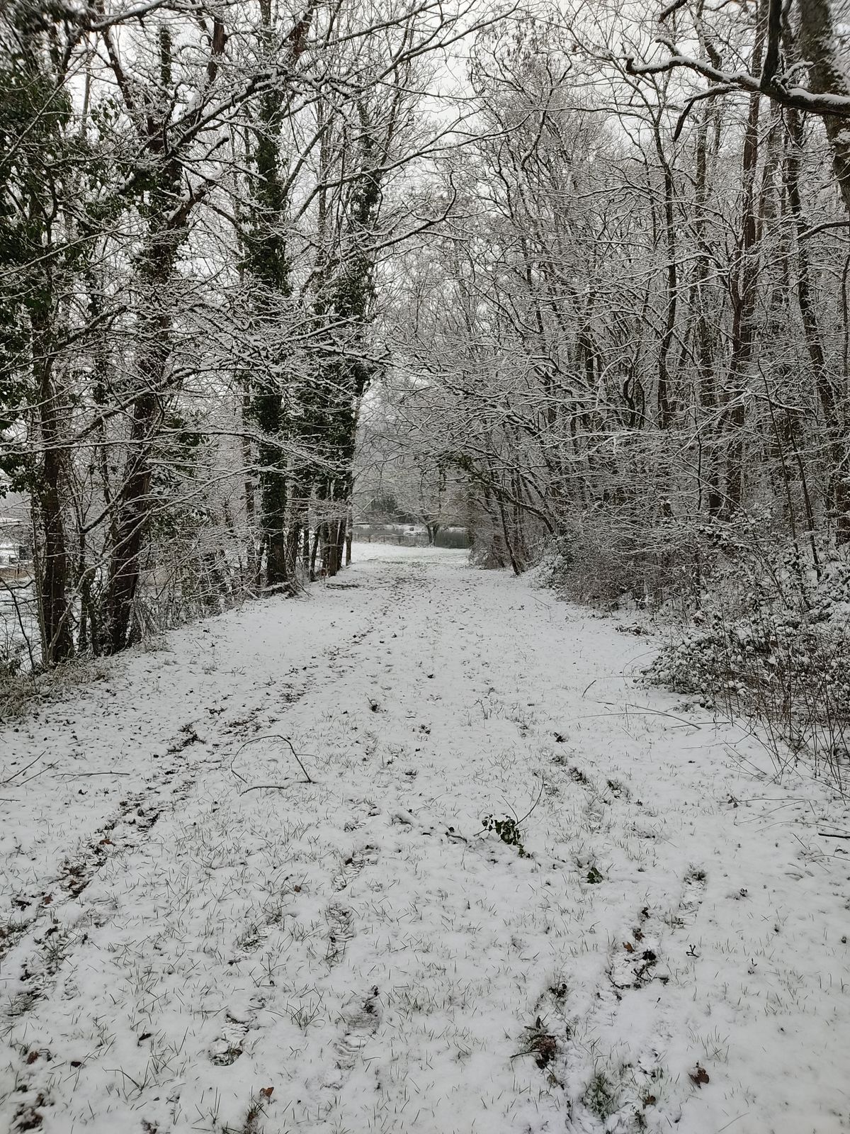 Départ trous 2 et 5.