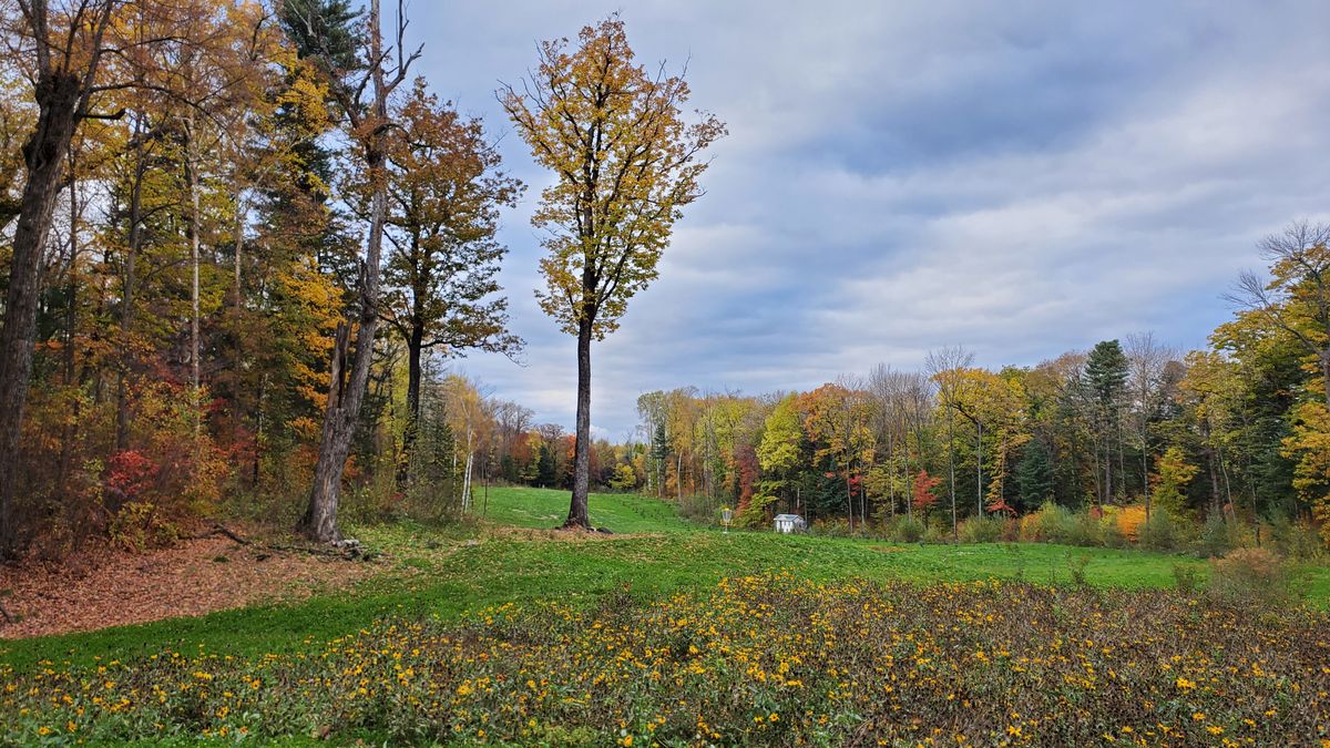 Looking past the 18th basket back down the 212m fairway.