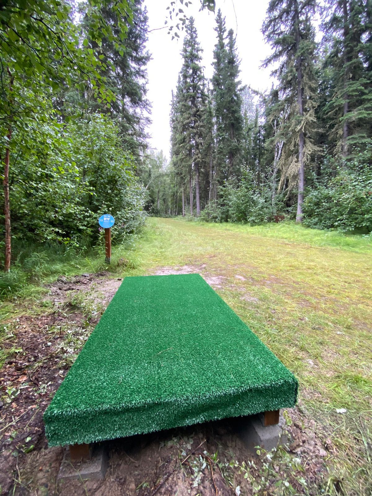 Hole 13 tee pad, basket at the end of the dog leg right