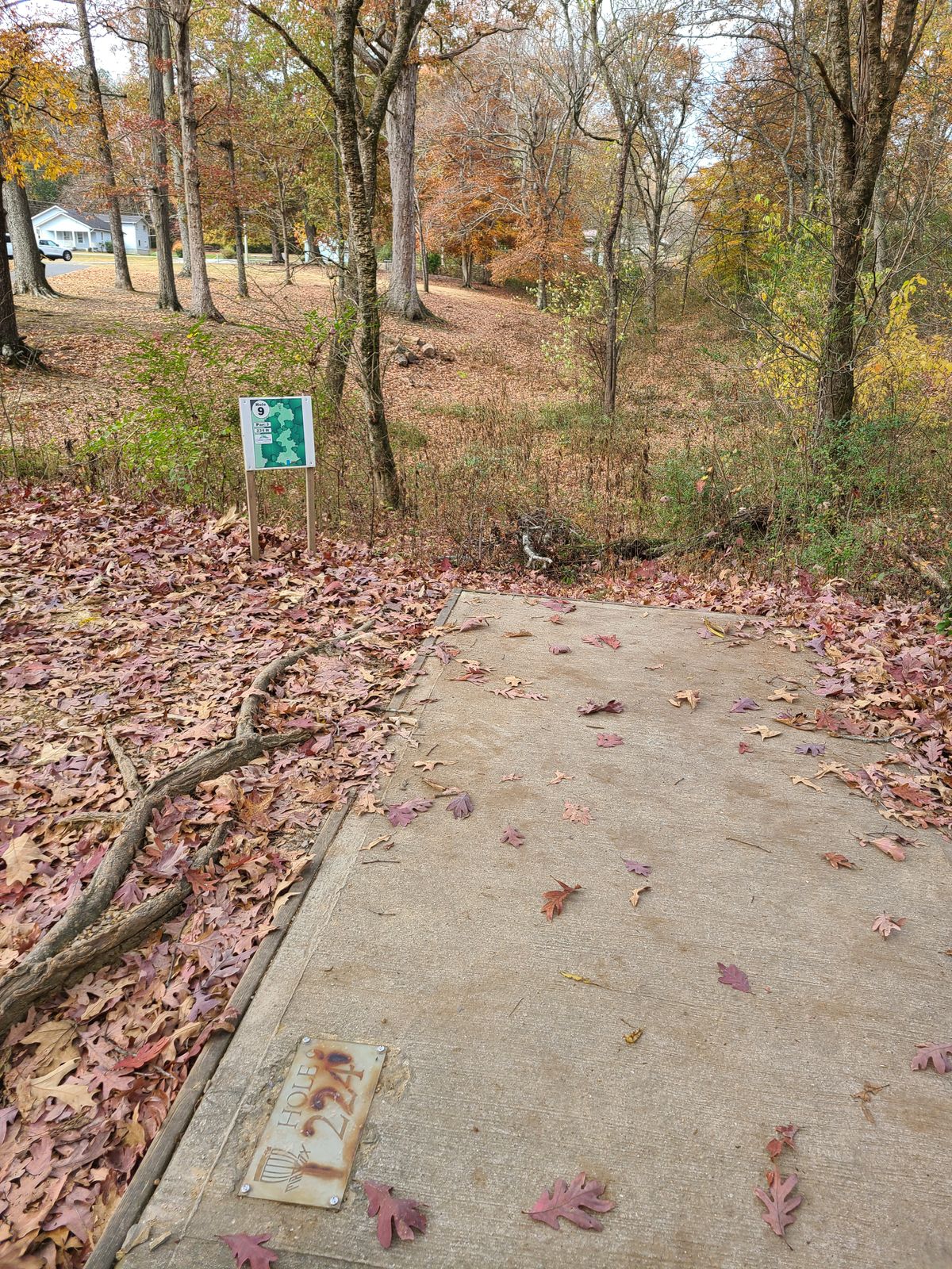 Tee view from hole 9