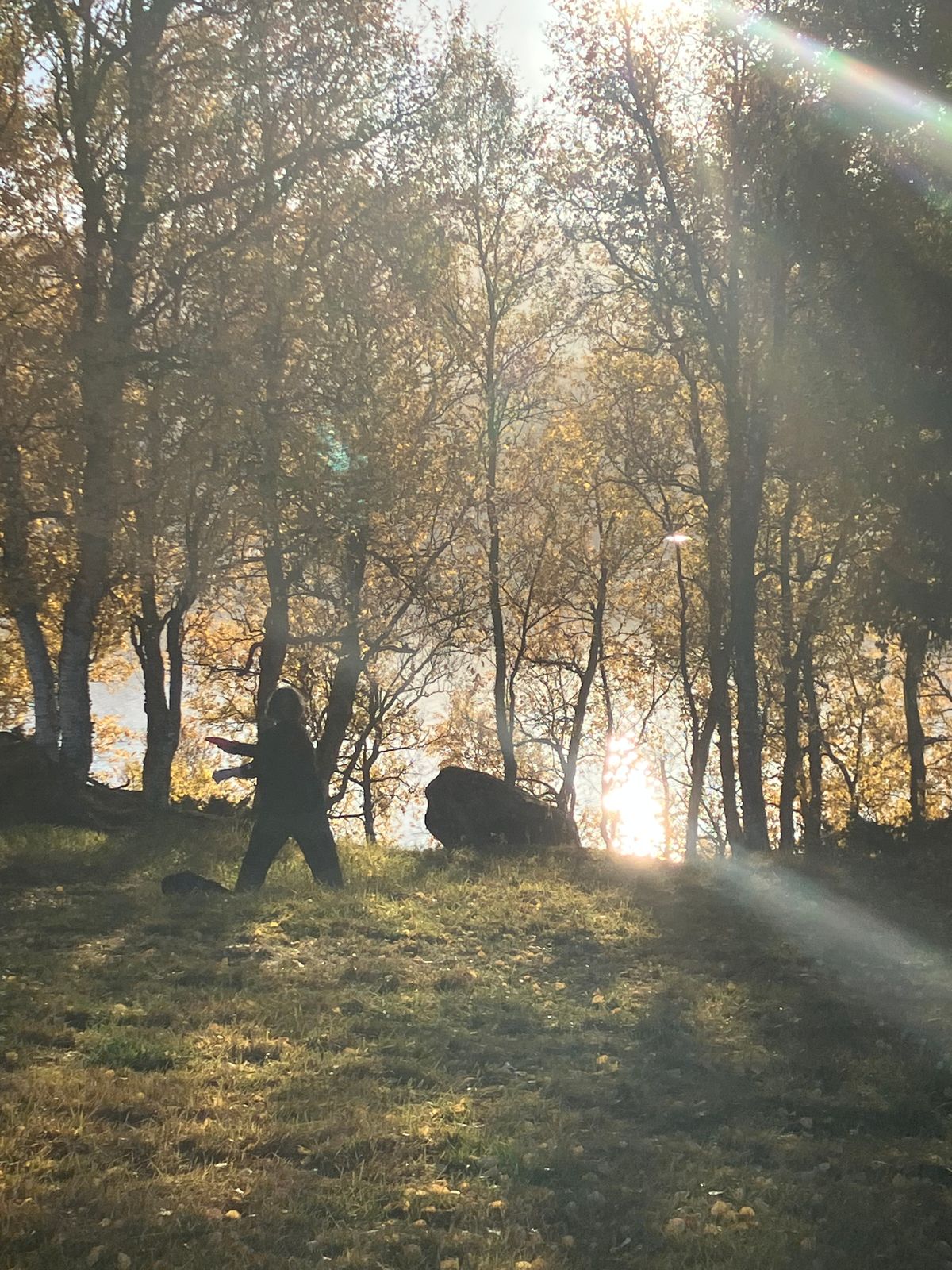 Magiske øyeblikk i luften🍂