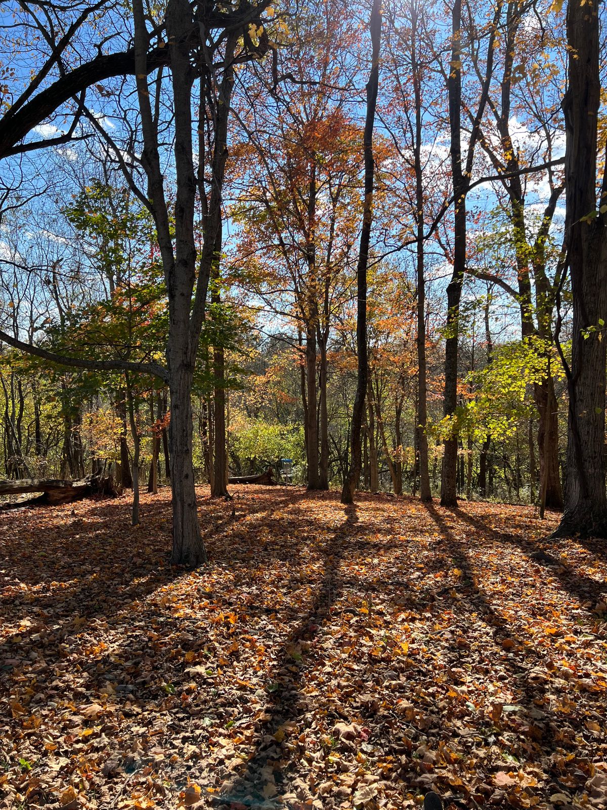 Hole 17 green