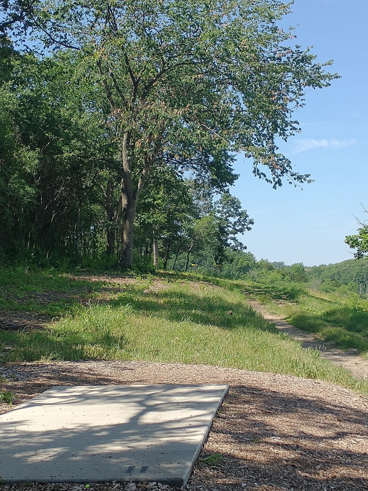 Hole 11 makes a bad throw to the right dangerous.  The view is pretty.