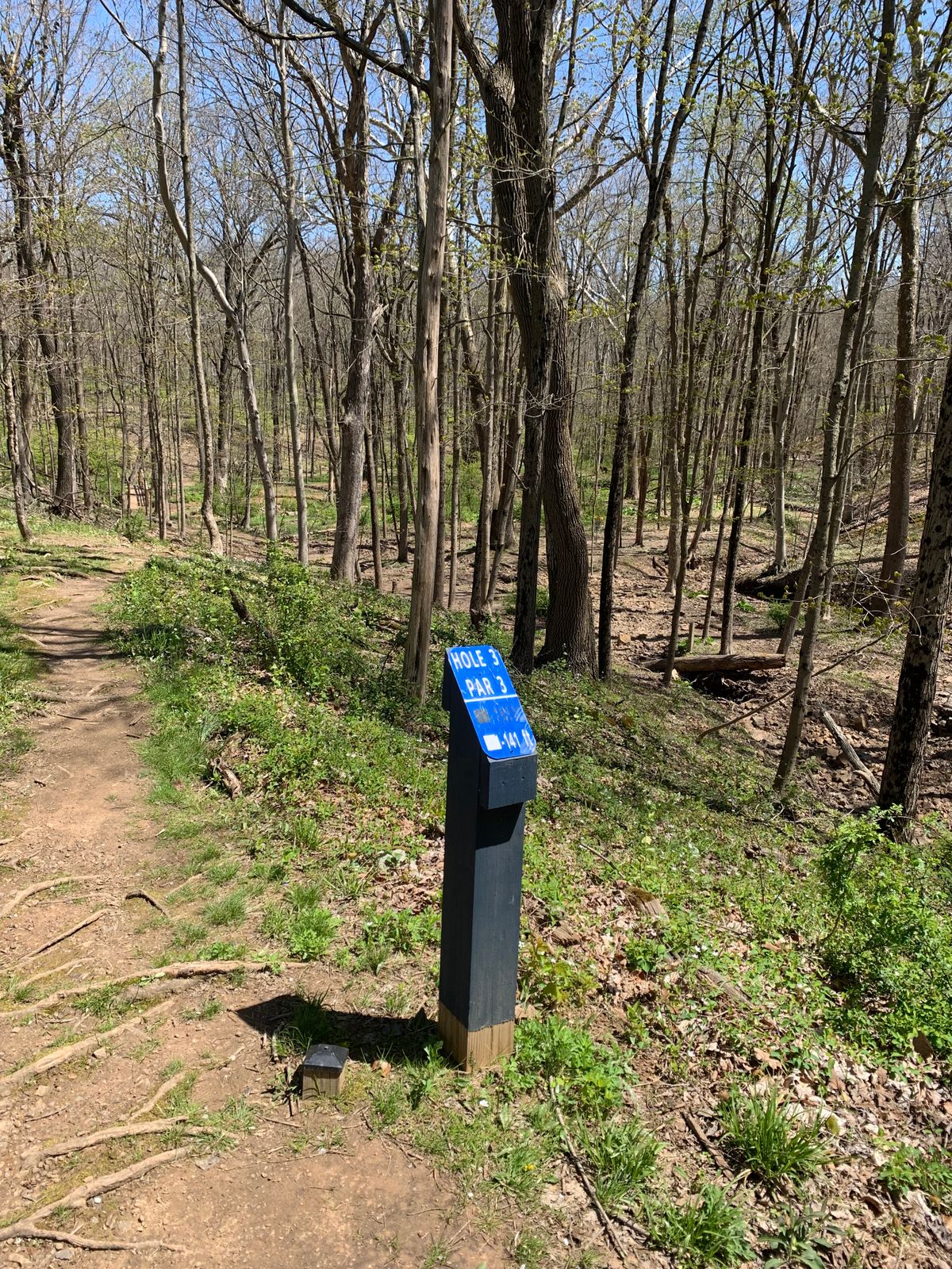 Hole 3 - Blue Tee