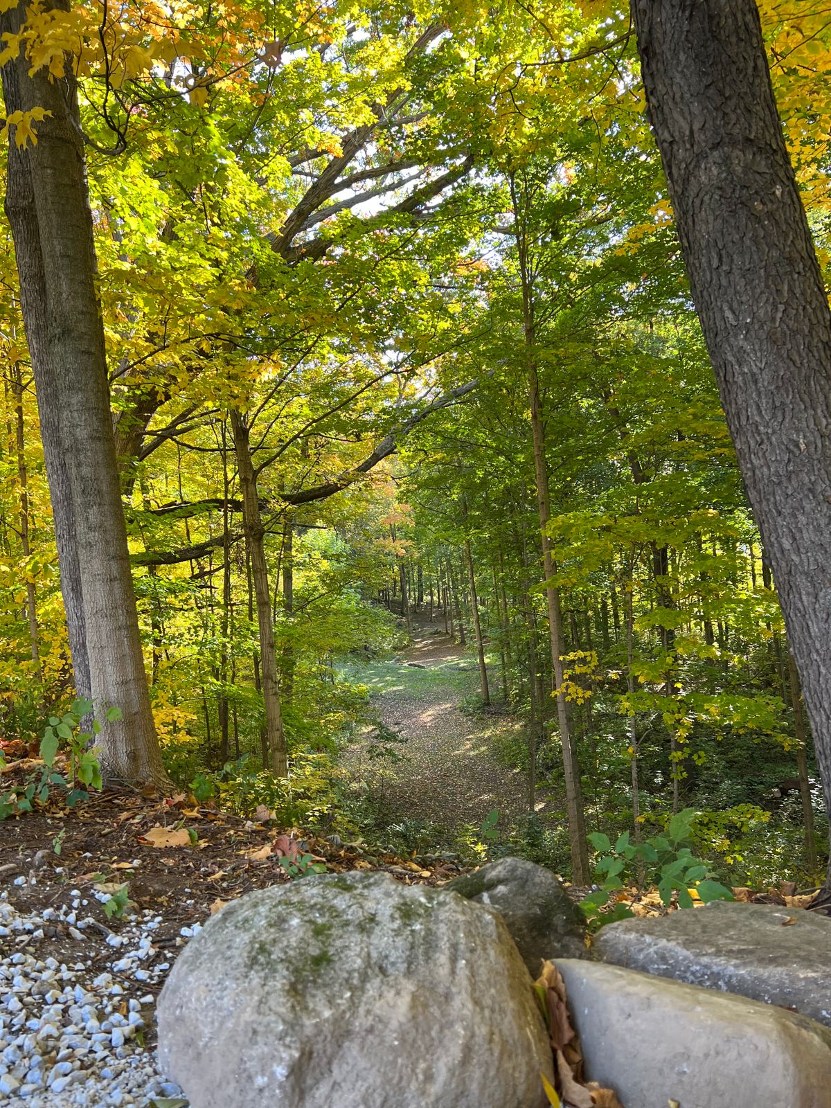 Tunnel tee shot from edge of tee pad on hole 10 (long), about a 30ft elevation drop down the hill