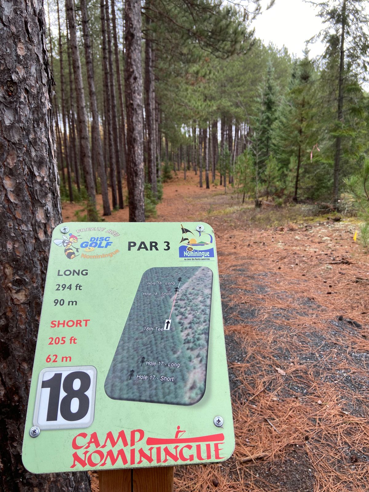 Tee 18