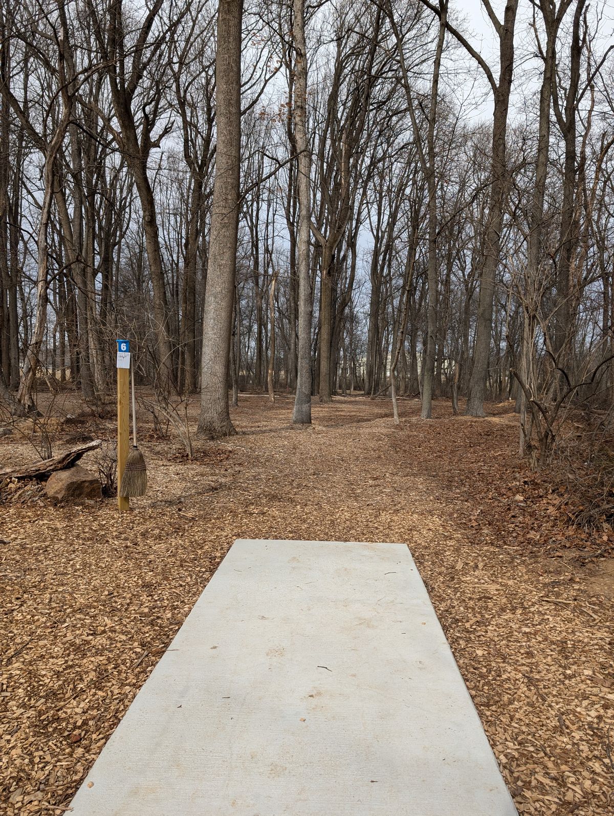 Hole 6