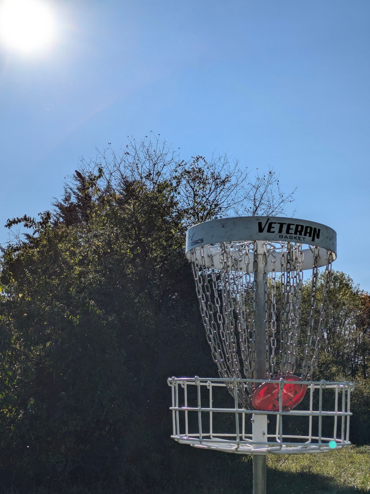 The Aceable Hole 8 - Hawk in background