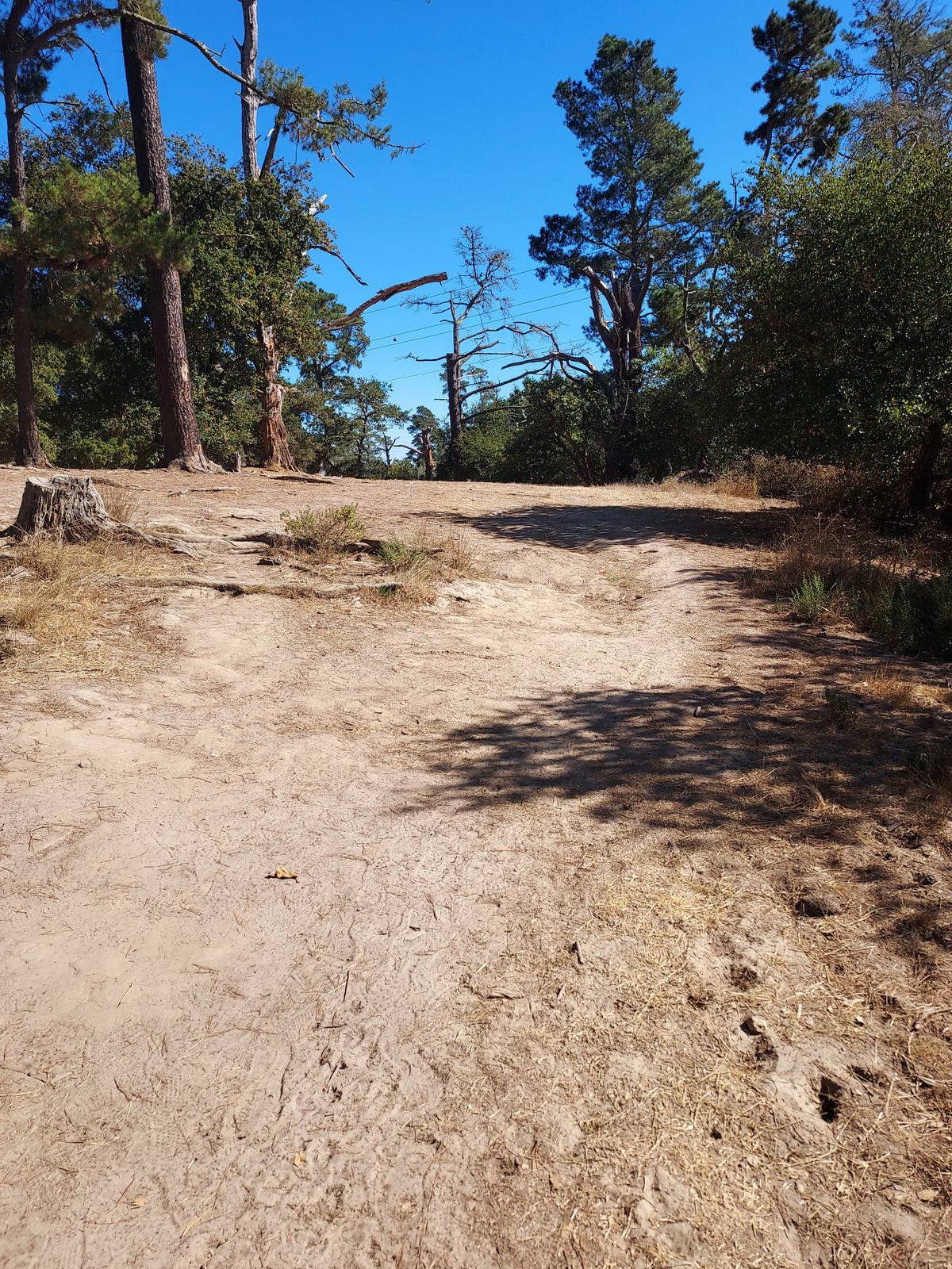Hole 4 from tee