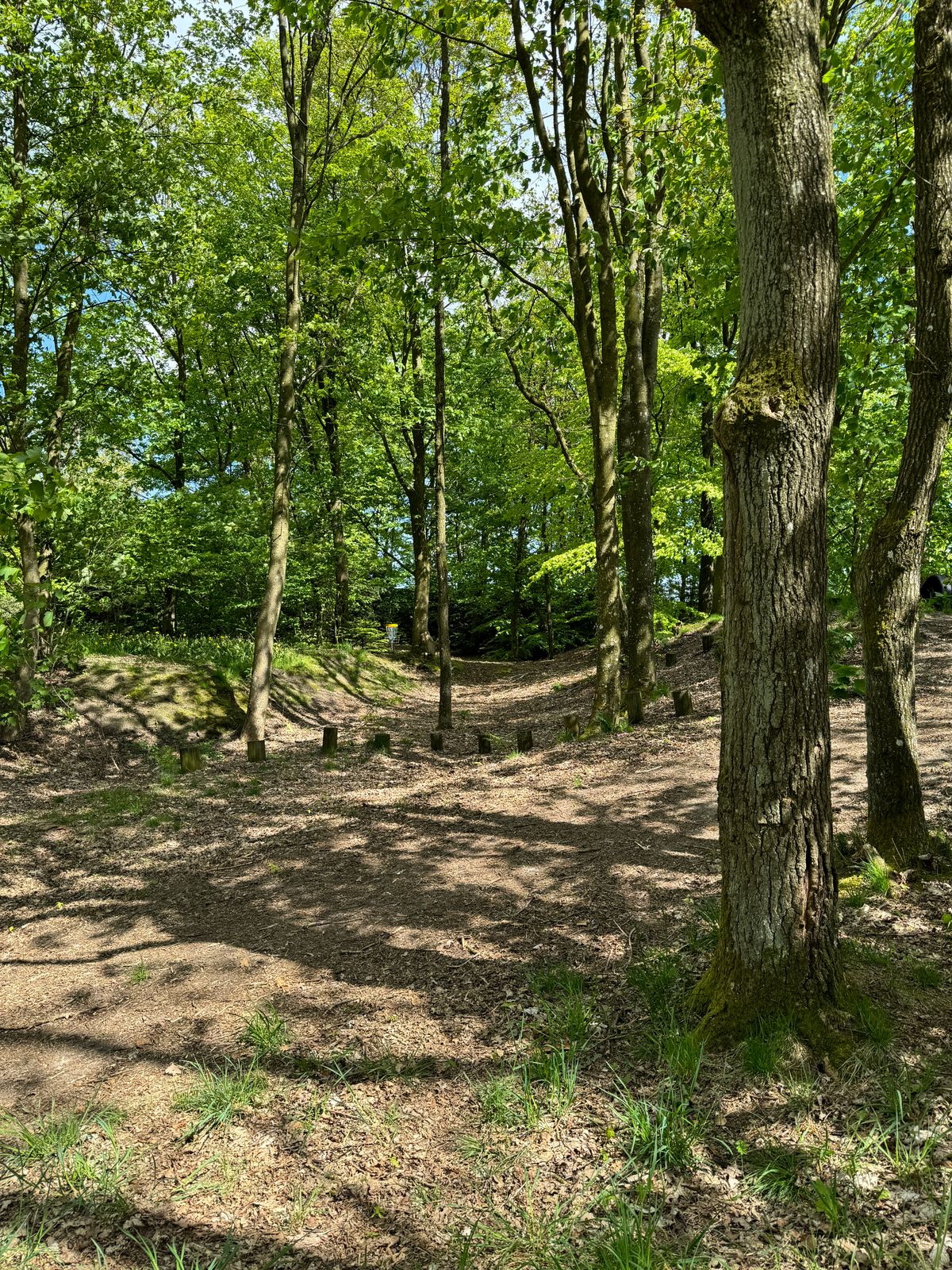 ØB DiscGolfPark