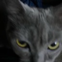 moboisdead