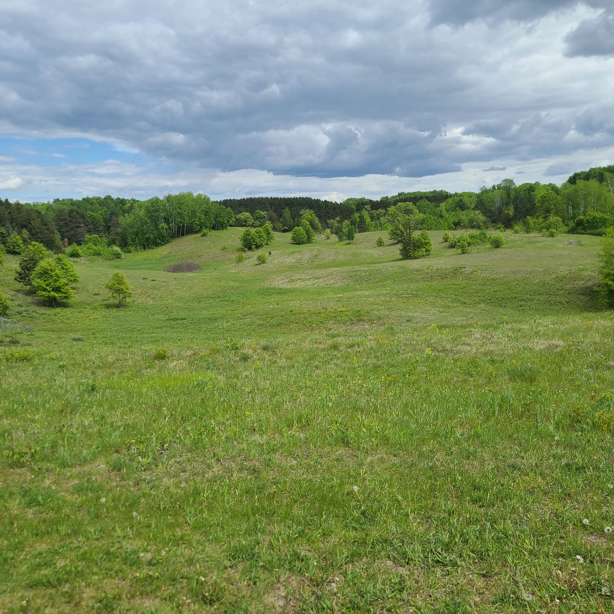 Behind hole 4 tee