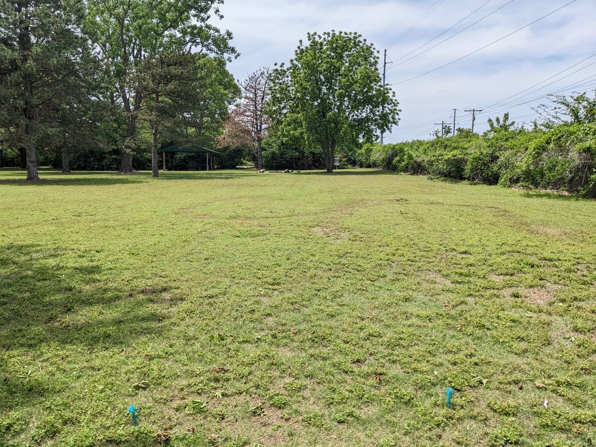 Hole #7