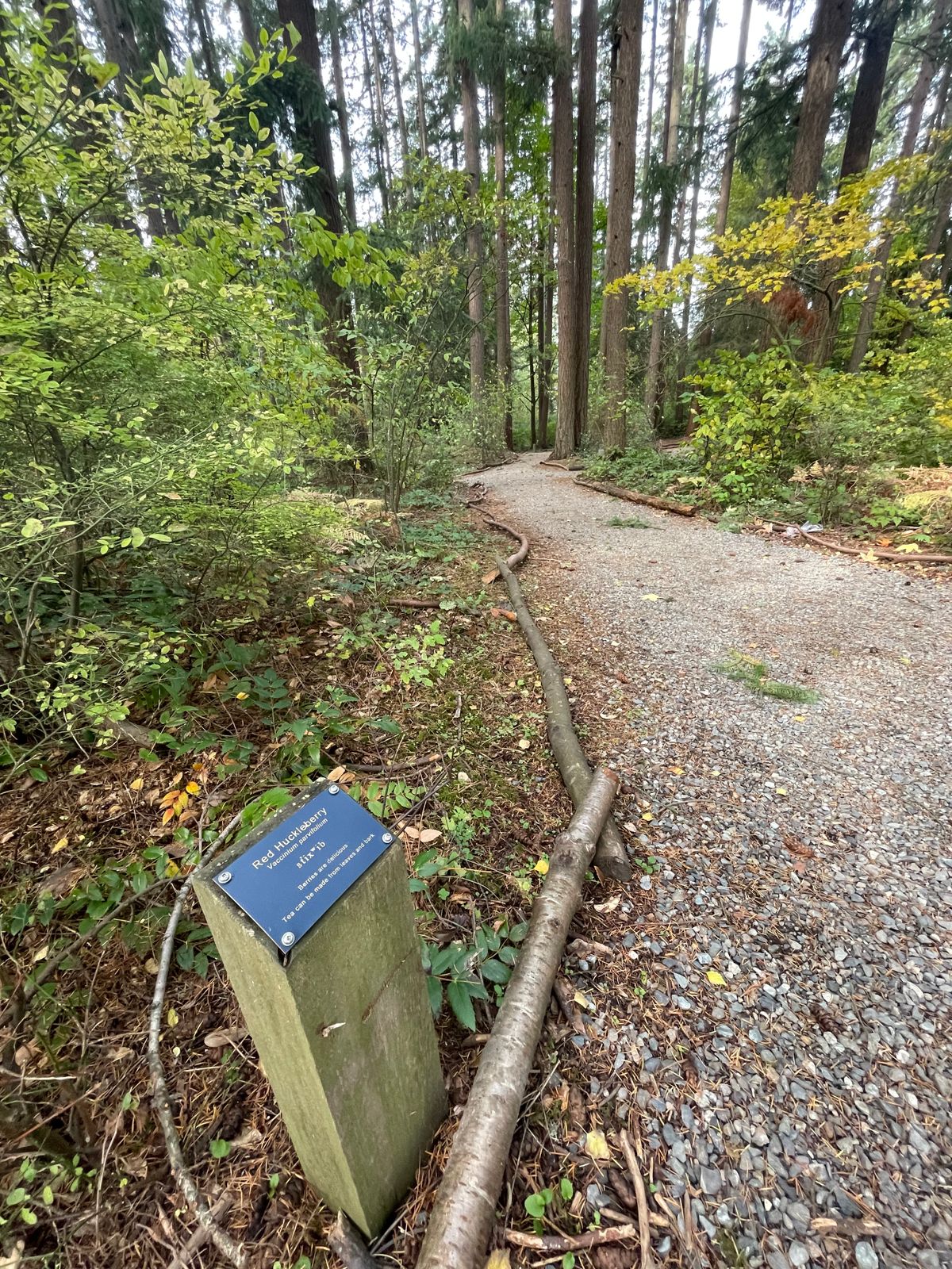 Native nature trail