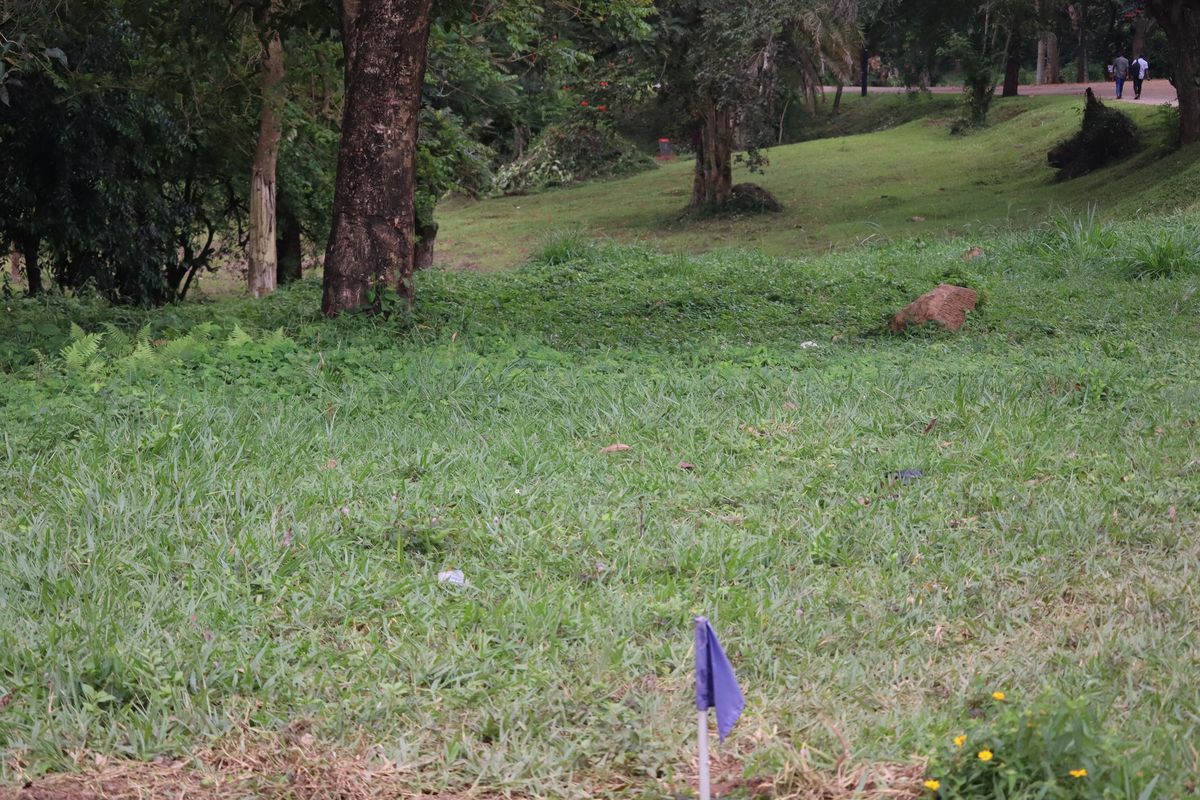 Hole 9 Long Tee
